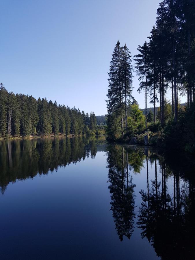 Fewo Nina Exklusiv Design Mit Bergblick Goslar Eksteriør bilde