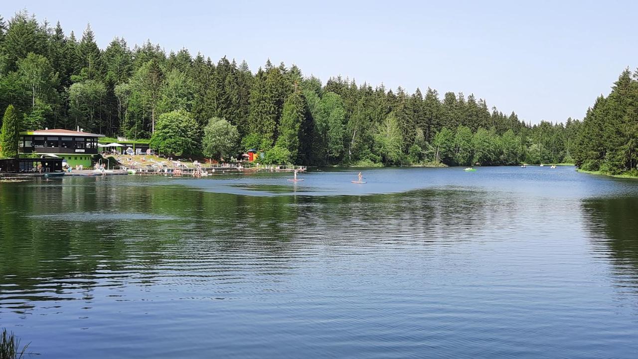 Fewo Nina Exklusiv Design Mit Bergblick Goslar Eksteriør bilde